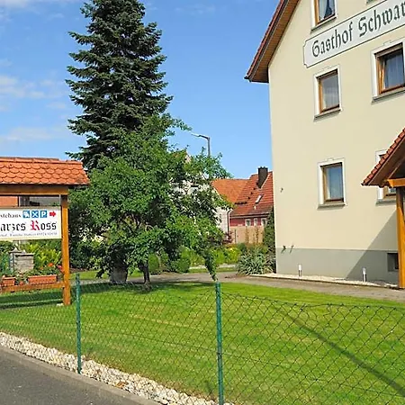 Schwarzes Ross Schwarzach am Main