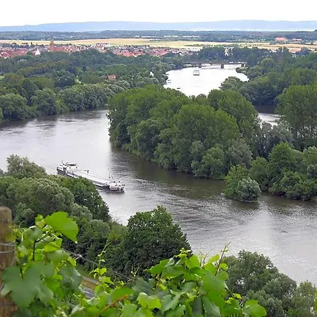 Schwarzes Ross Schwarzach am Main