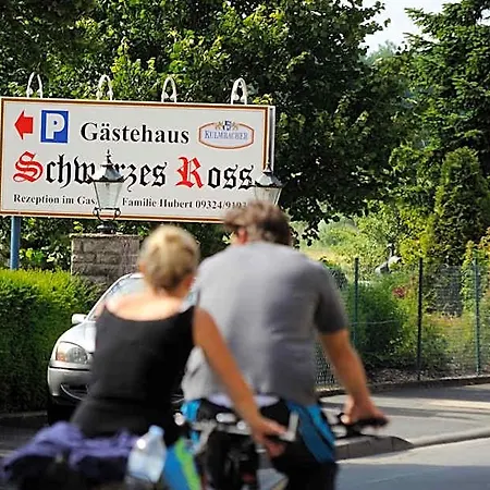 Hotell Schwarzes Ross Schwarzach am Main