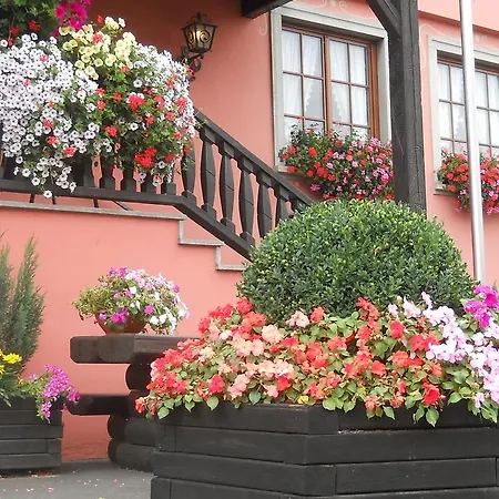 Hotel Schwarzes Ross Schwarzach am Main