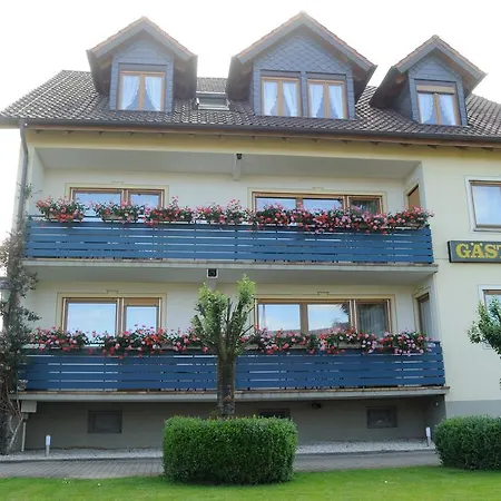 Hotel Schwarzes Ross Schwarzach am Main