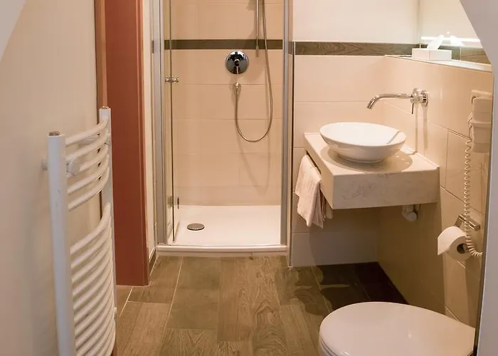 Hotel Schwarzes Ross Schwarzach am Main