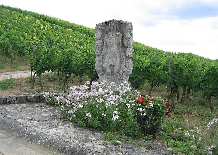 Hotel Schwarzes Ross 3*