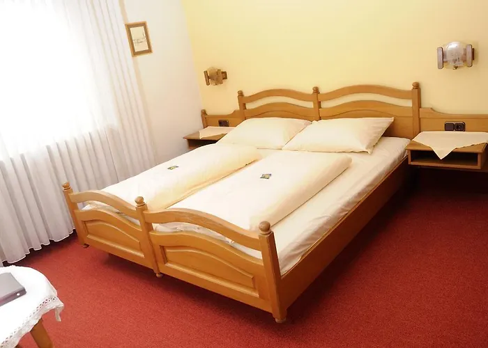 Hotel Schwarzes Ross Schwarzach am Main